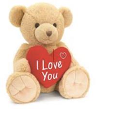 I Love You Bear
