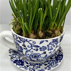 Blue Tea Cup Planter